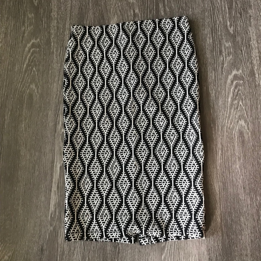 ZARA Pencil Skirt